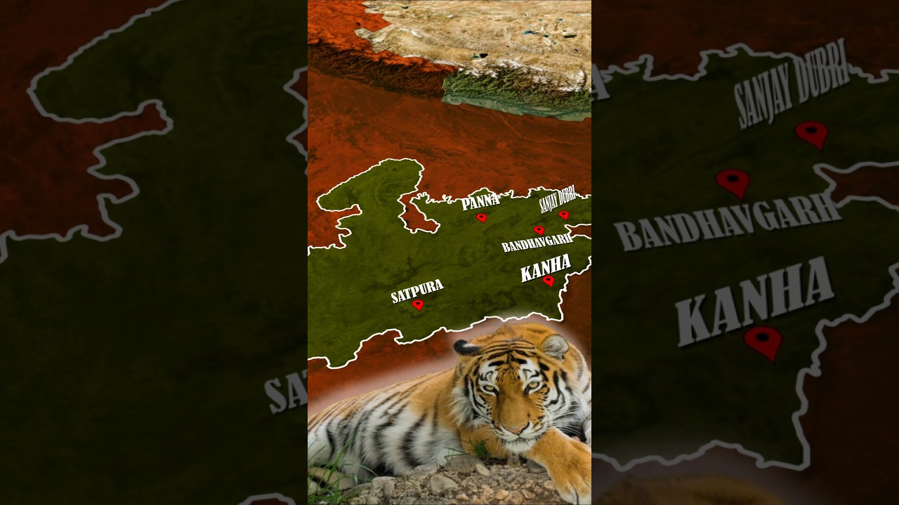 New Tiger Reserve in BHOPAL #bhopal #newvideo #madhyapradesh