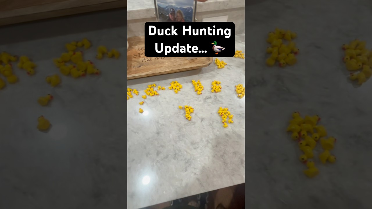 UPDATE 🦆 #duckdynasty #ducks #duckhunting #family #familyprank #prank #comedy #funny