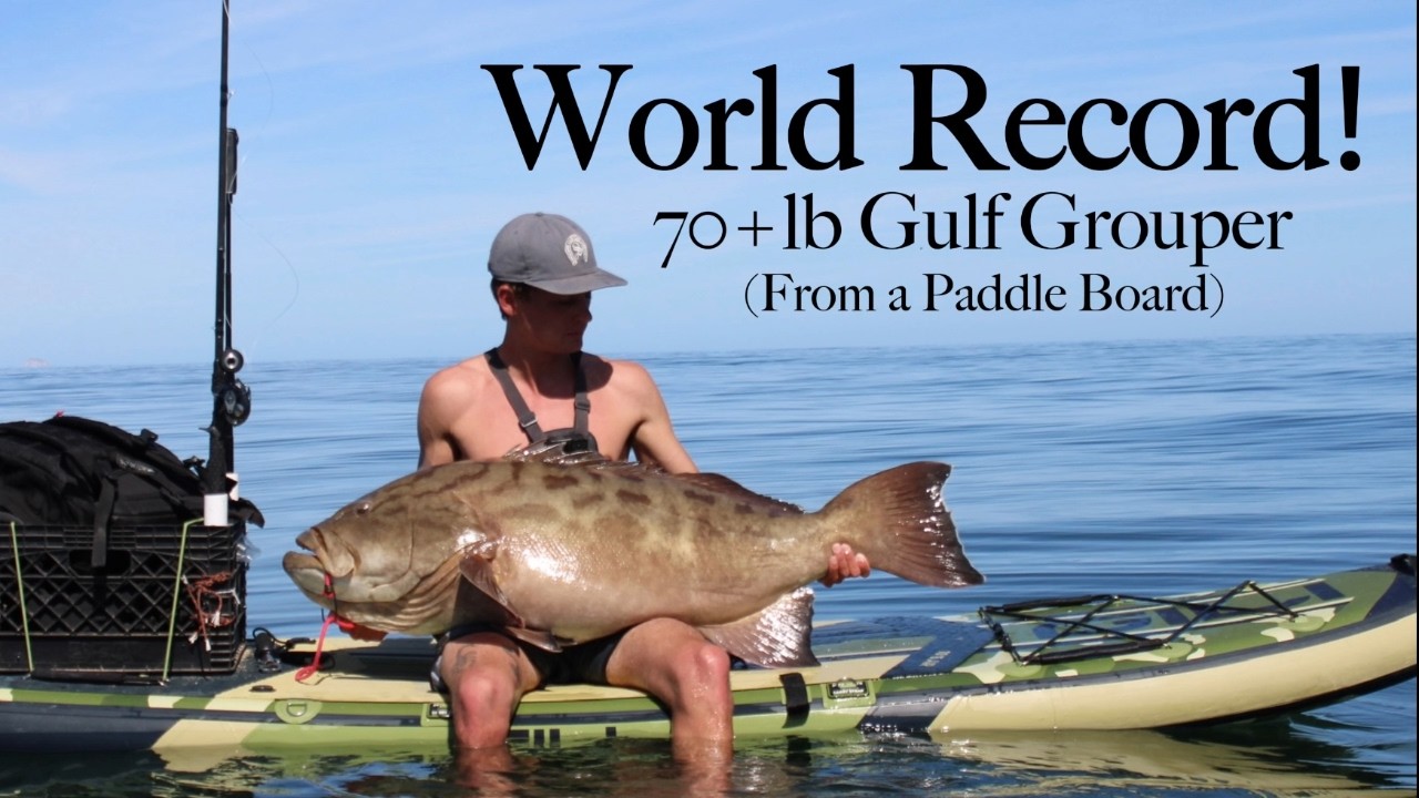 WORLD RECORD! | Monster Gulf grouper from a Paddle Board!