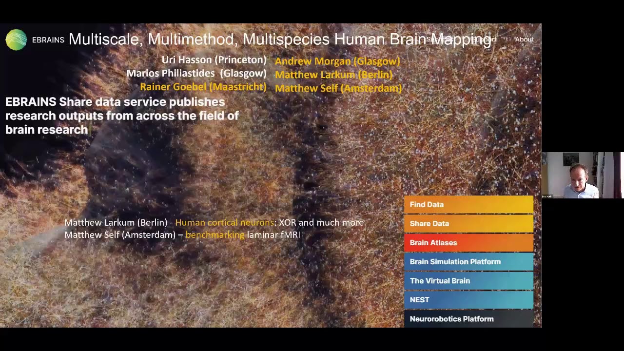 Lars Muckli: Introduction to FENS Webinar