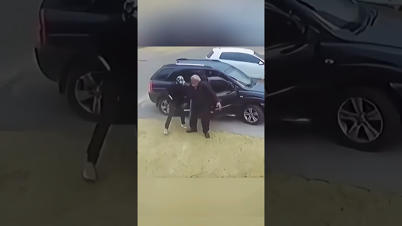 Perros h&eacute;roes salvaron al abuelo de los ladrones ❤️