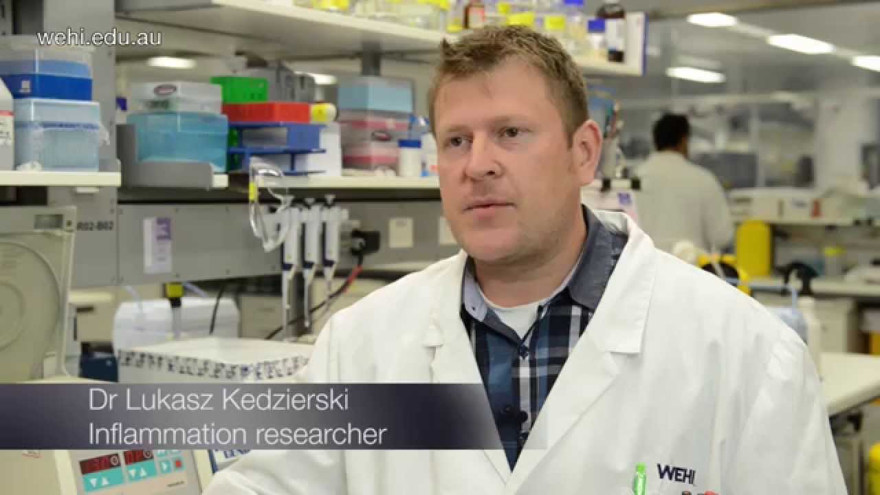 Ending the perfect storm: protein key to beating flu pandemics