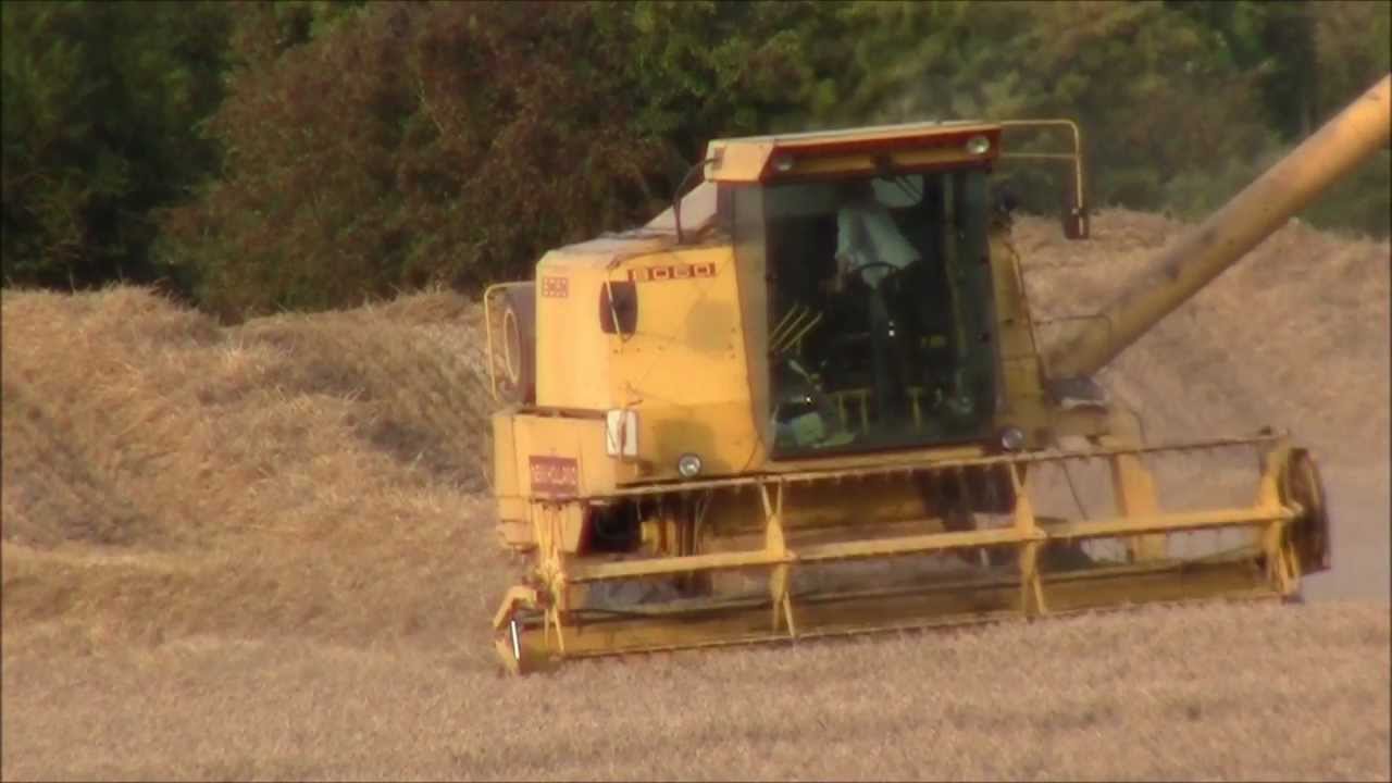 New Holland 8060 Harvesting Wheat