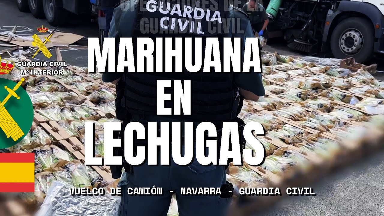 Cinco detenidos en Navarra por transportar marihuana entre lechugas