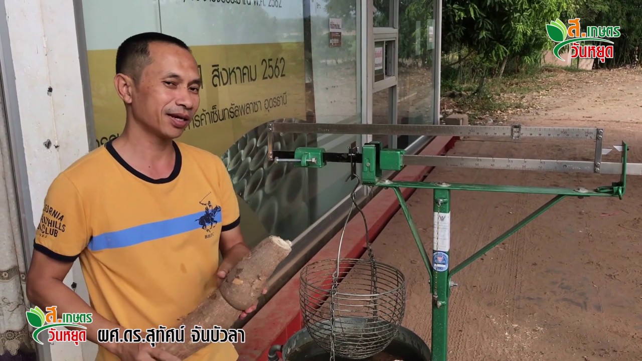 EP:1 วิธีวัดเปอร์เซ็นต์แป้งมันสำปะหลัง