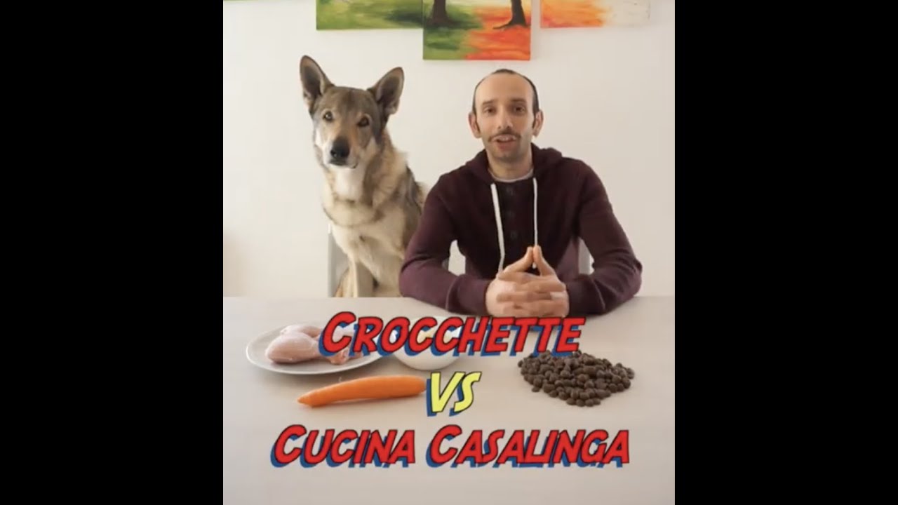 CANI Crocchette VS Cucina Casalinga