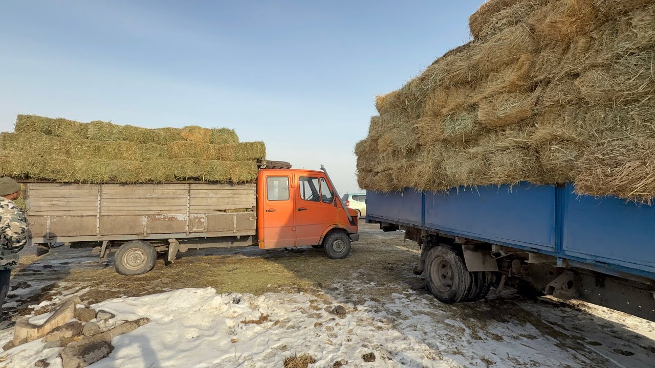 Беде прес чөп баасы 
