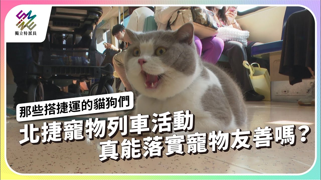 北捷寵物列車活動，真能落實寵物友善嗎？｜那些搭捷運的貓狗們｜公視 #獨立特派員 第850集 20240501