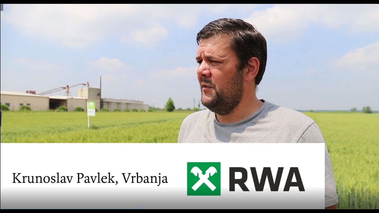 Dan polja RWA pšenice, Vrbanja 2022