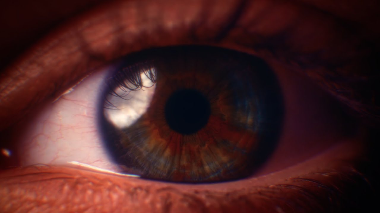 Shedrack Salami SHOW REEL 2024 - Cinematograper | Video Editor | Colorist