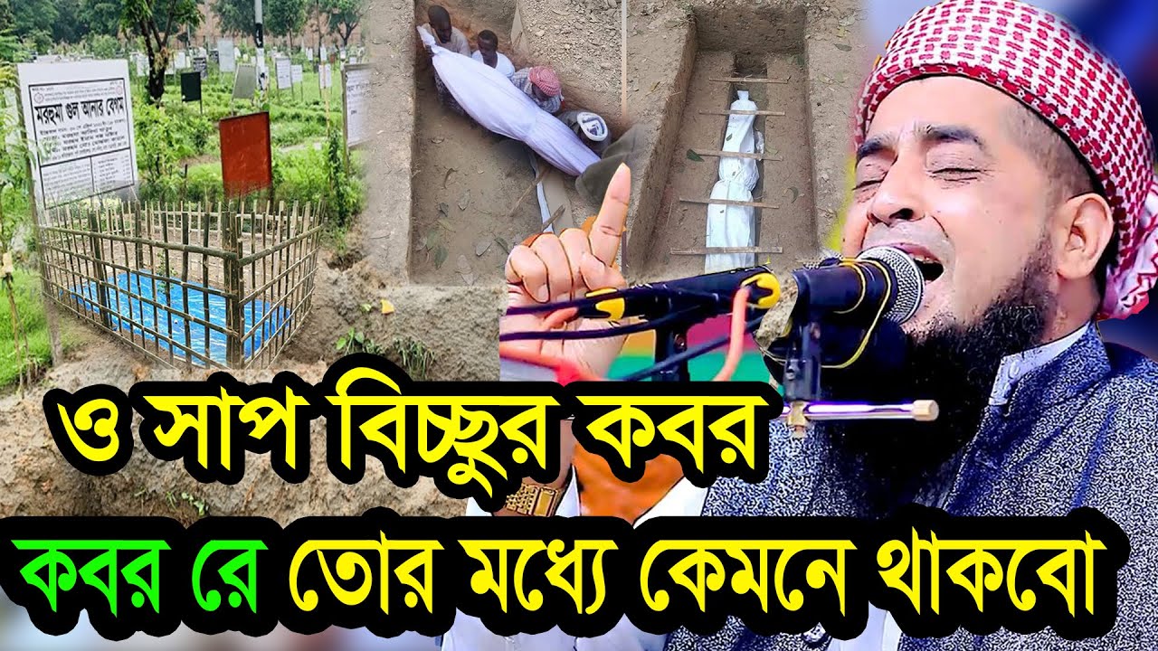 ও সাপ বিচ্ছুর কবর ৺ কবর রে তোর মধ্যে কেমনে থাকবো রে ইলিয়াছুর রহমান জিহাদী ওয়াজ