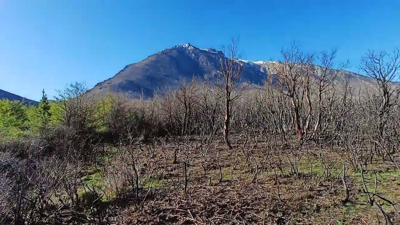 Por una zona donde el paso del #viento hace bailar al fuego #primavera 2023 Pantanoso Ternero LEONES