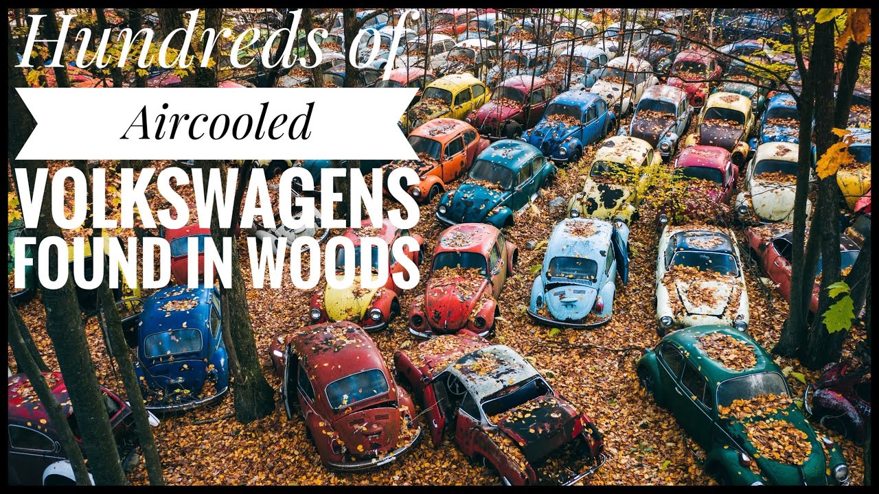 Hundreds of Air-cooled Volkswagens abandoned in the woods for decades