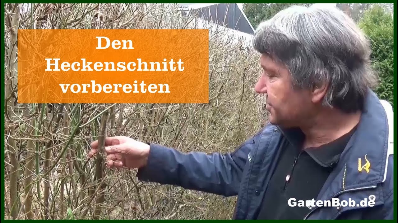 Den Heckenschnitt vorbereiten