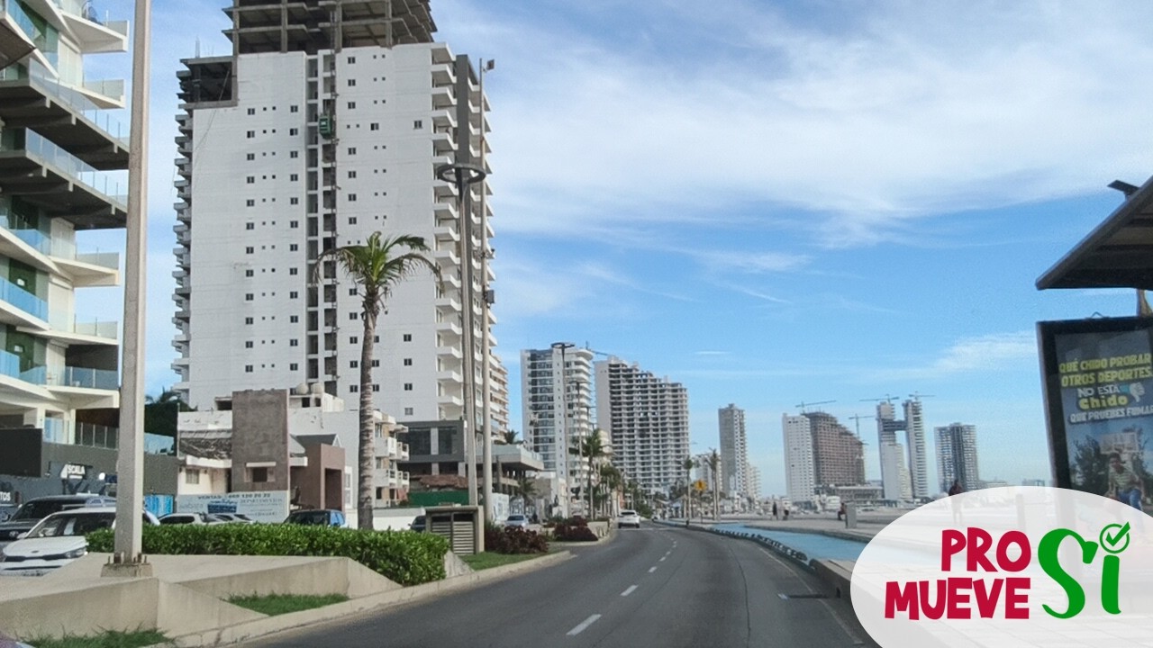 Tremenda parvada de pelicanos, gaviotas y tijeretas vuelan por los altos edificios de Mazatlán