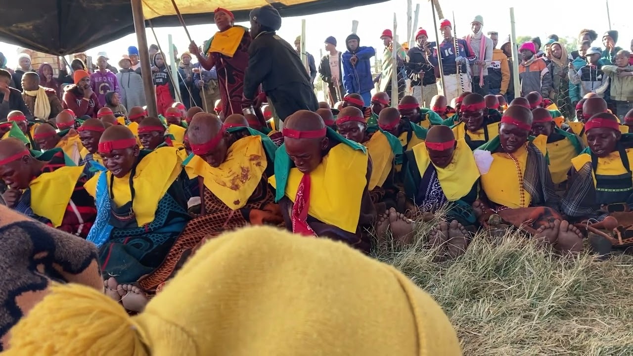 Amakrwala akuTela 2022 kwaNtate Fans