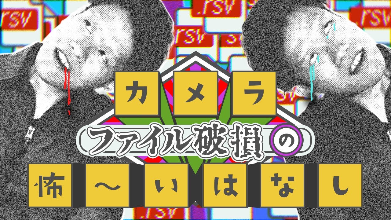 動画ファイルが破損して謎の拡張子と戦った話【.rsv】 #63