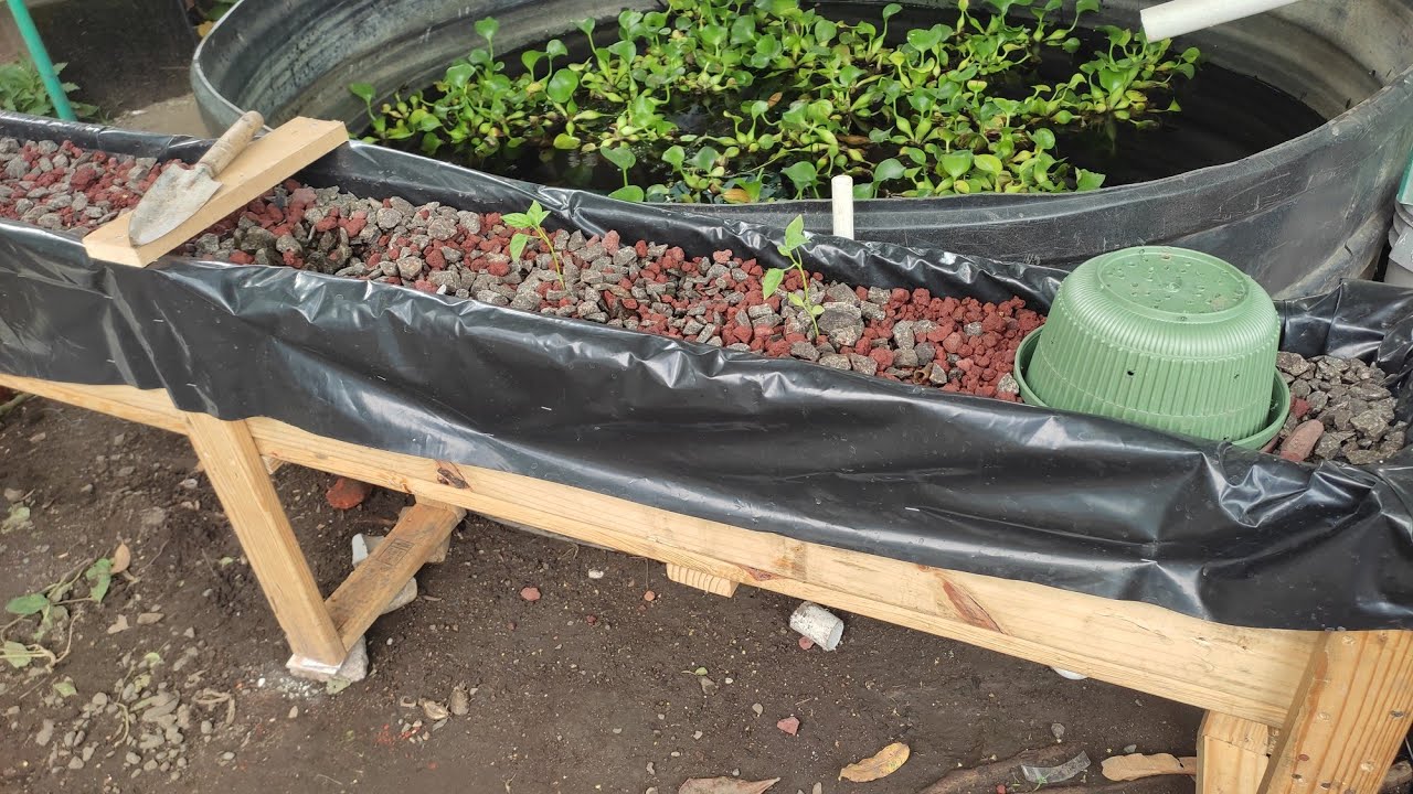 cómo hacer cama de cultivo acuaponico y sifón campana