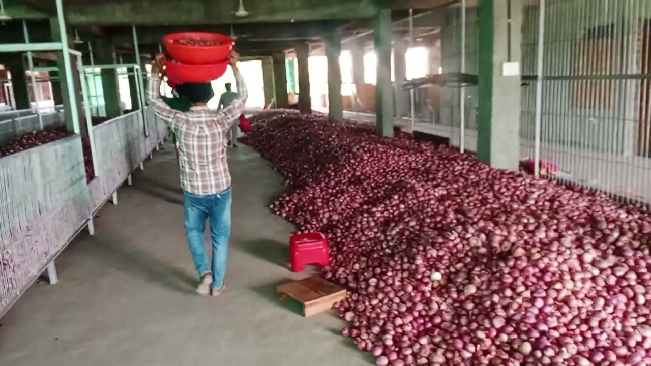 ਗੰਢਿਆਂ ਦੀ ਸੇਵਾ ਚੱਲ ਰਹੀ ਹੈ ਜੀ ਬਿਸ਼ਨਪੁਰੀ