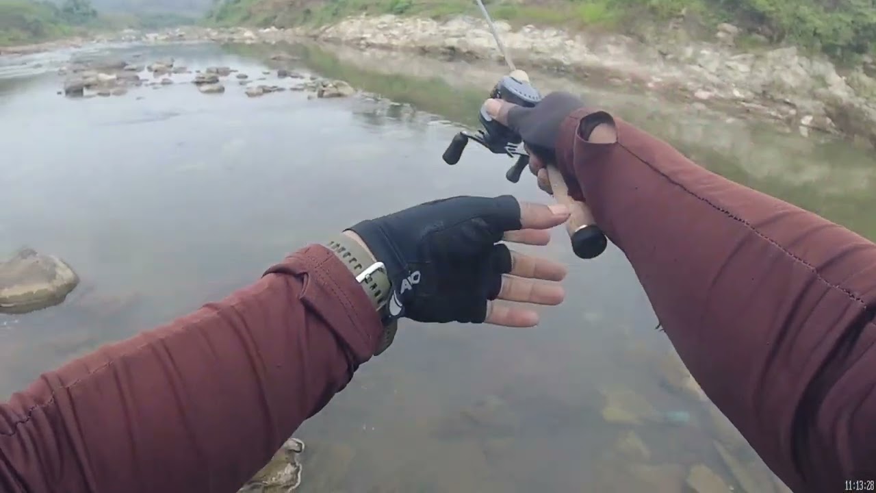 tes rell SHIMANO Calcutta Conquest 31 hg.. mancing hampala di sungai cengis wadaslintang
