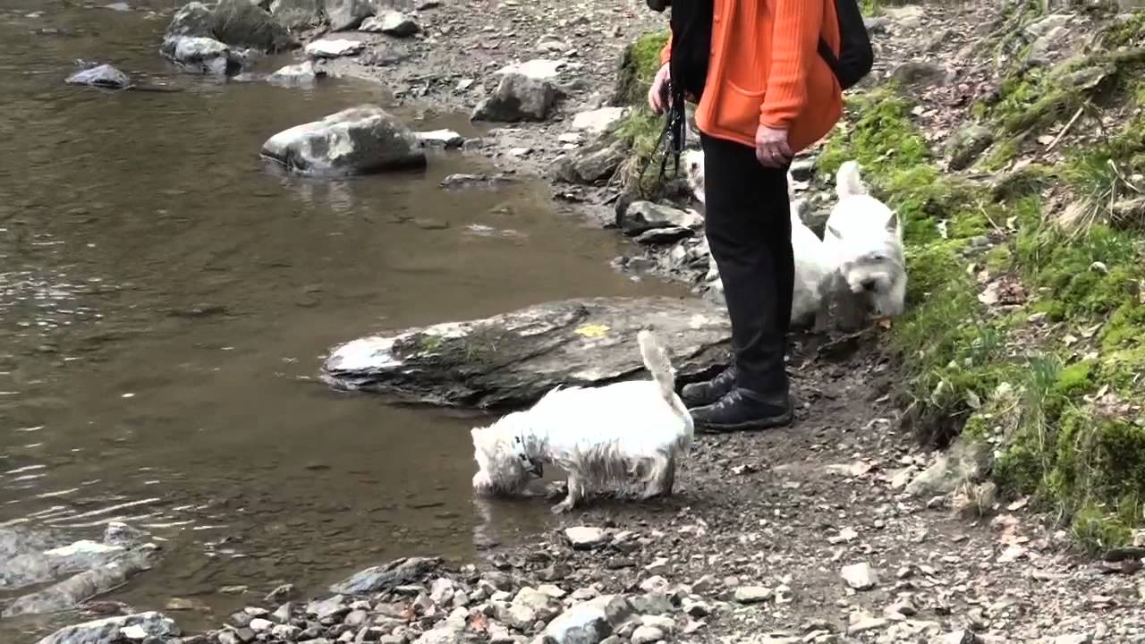 Weekendje ardennen