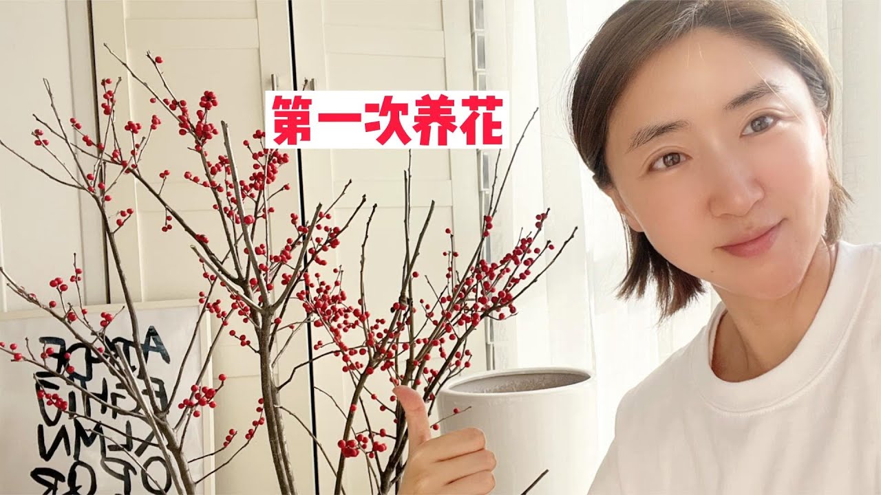 张小姐330元网购10年株北美冬青，拆箱太难了，带你现场看看