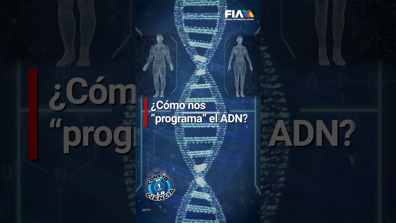 As&iacute; es como el ADN 