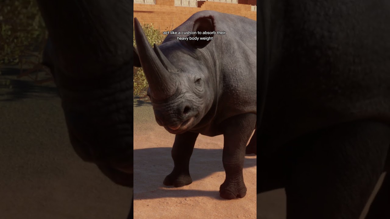 Давайте познакомимся с чёрным носорогом в зоопарке Честера! #planetzoo #shorts