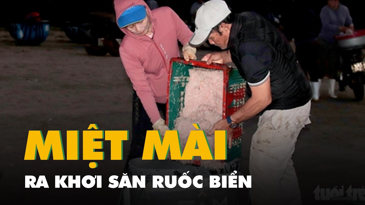 Ngư dân Đà Nẵng miệt mài ra khơi săn ruốc biển những ngày cận Tết