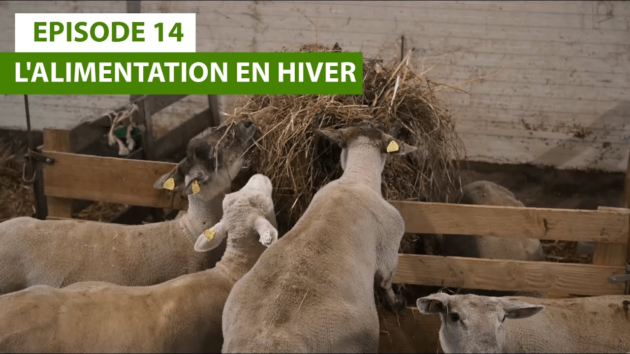 Julien, une histoire d'installation #14