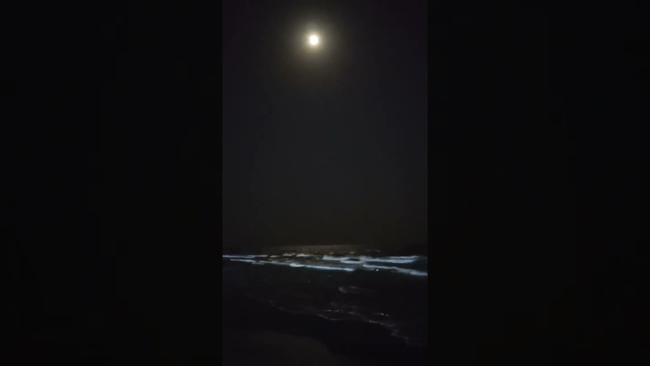 #sea #moonlight #memories