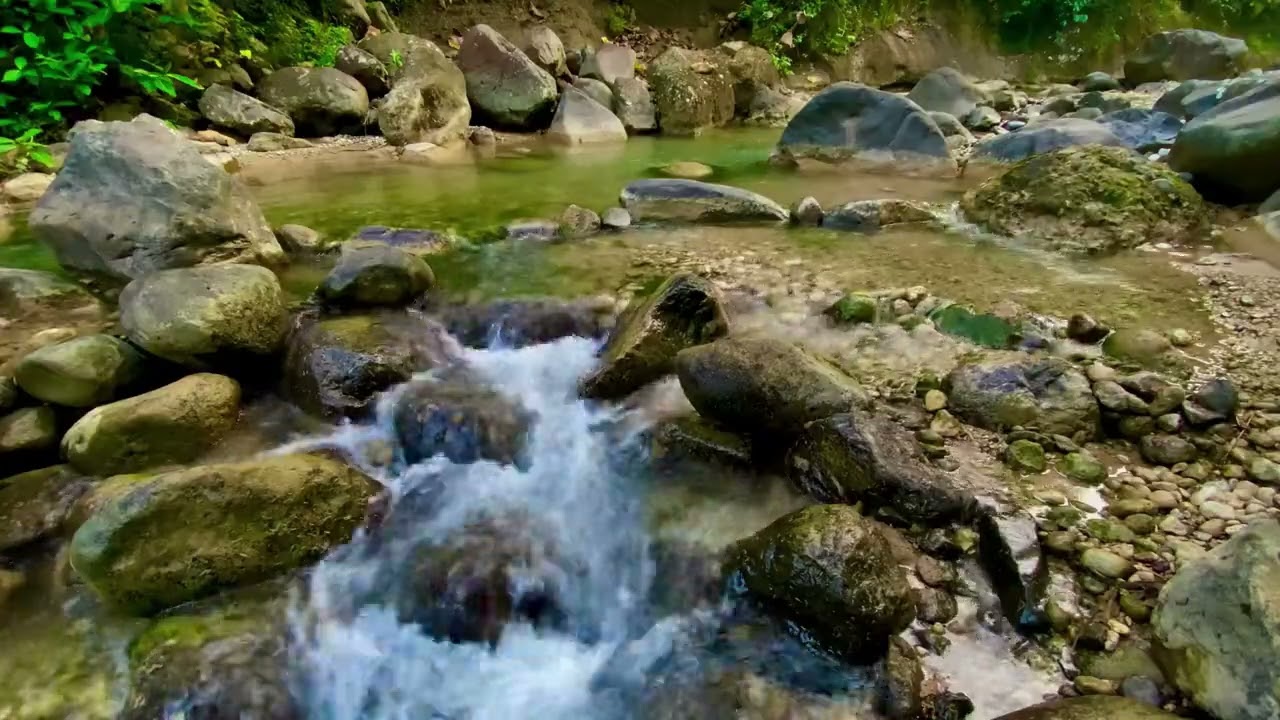 Experience Nature's Power : Peacefull Water River Over Rocks Calm Sounds in the Deep Forest