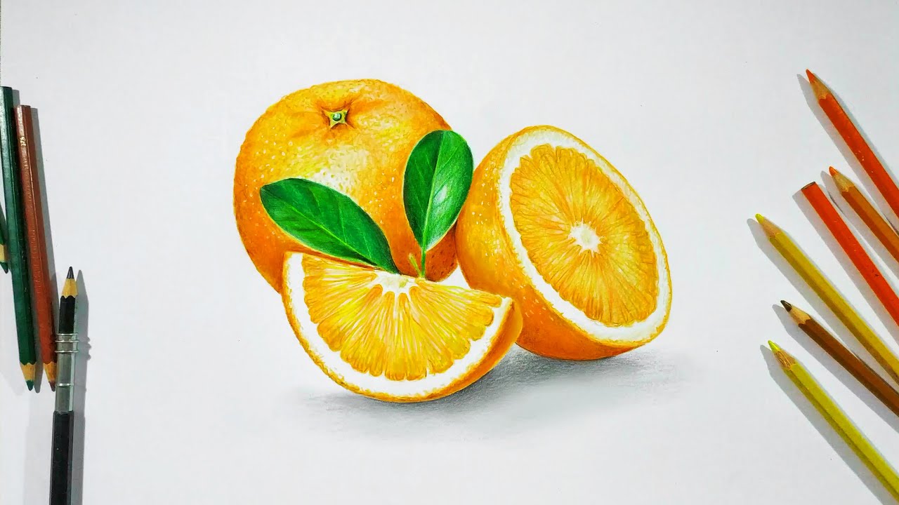 MENGGAMBAR BUAH JERUK DENGAN PENSIL WARNA FABER CASTEL CLASSIC COLOR