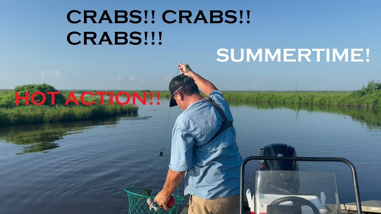This Little Louisiana Bayou Was Full of Blue Crabs!!!