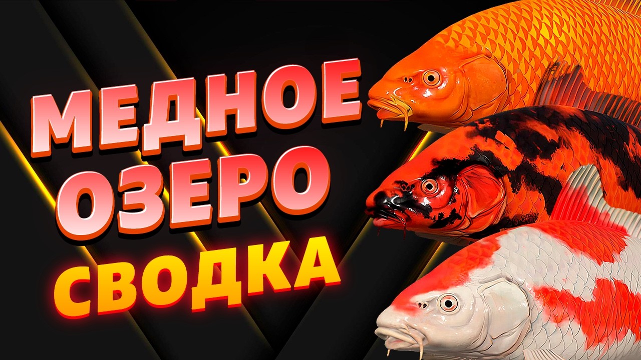ПРОДОЛЖАЕТСЯ ПРЕКРАСНЫЙ ФАРМ И ВЫСИД НА МЕДНОМ ОЗЕРЕ В НОРМАЛЬНУЮ ТЕМПУ! • Русская Рыбалка 4 РР4