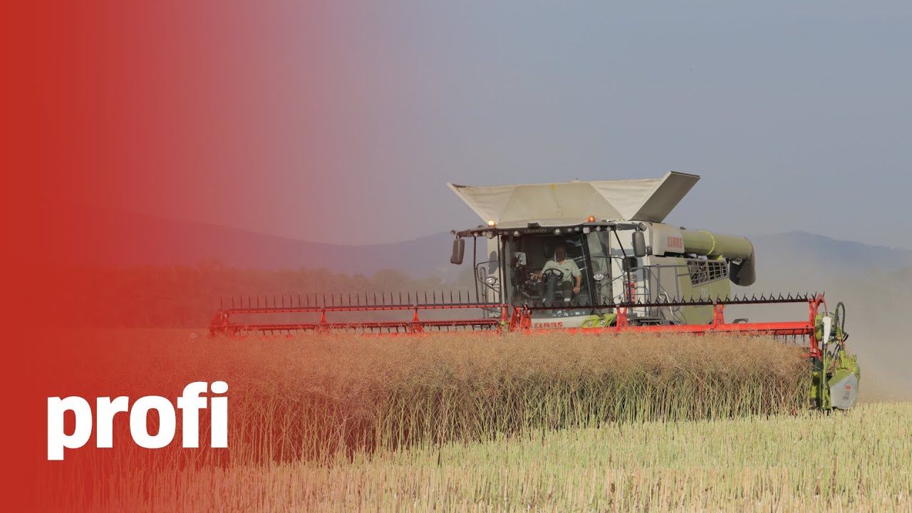 Lexion 8700 w Milikowicach! Jak wypadł na tle poprzednik&oacute;w?