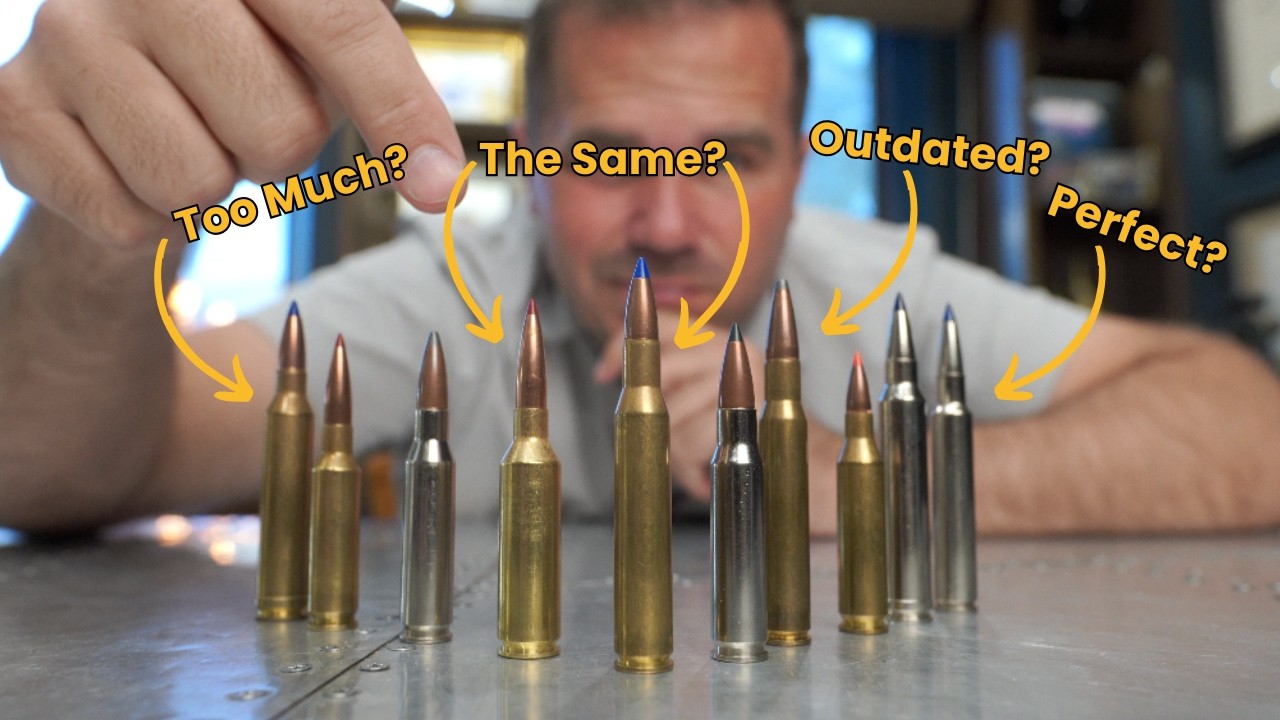 10 Best Hunting Cartridges: Your List Vs Mine