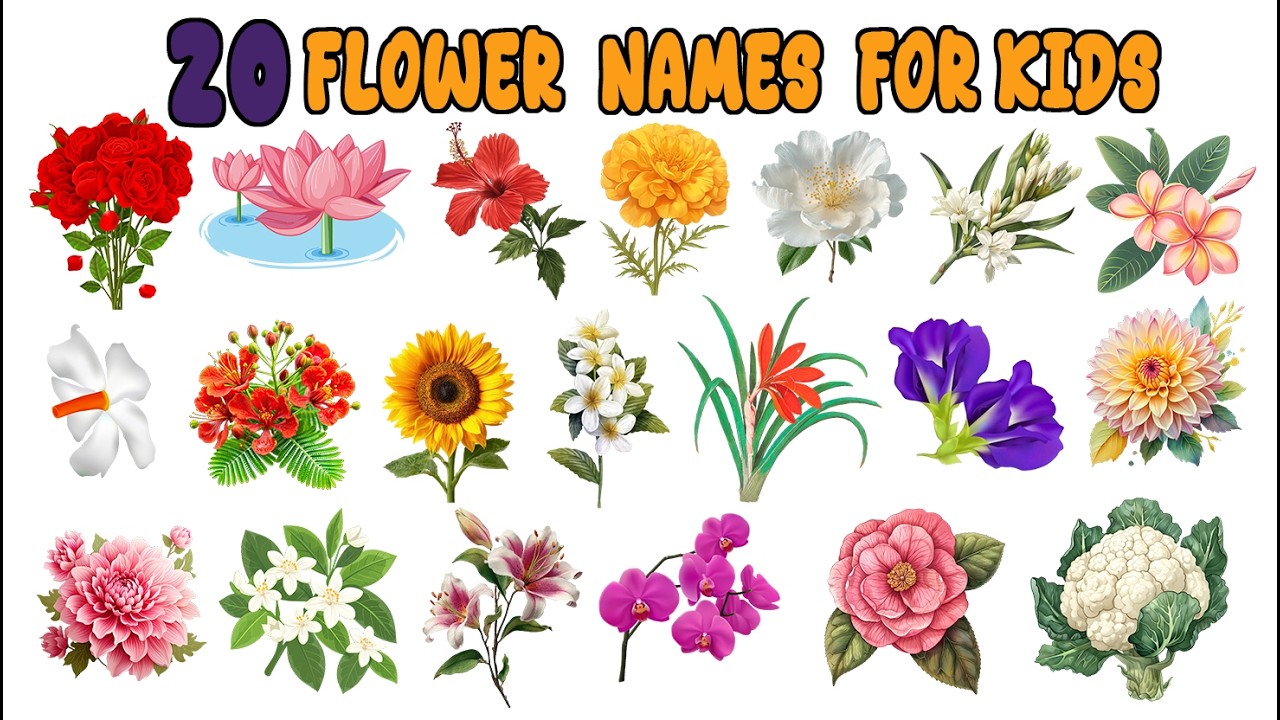 20 Flower Names for Kids 🌼 | फूलों के नाम | Preschool Learning Video 🌸