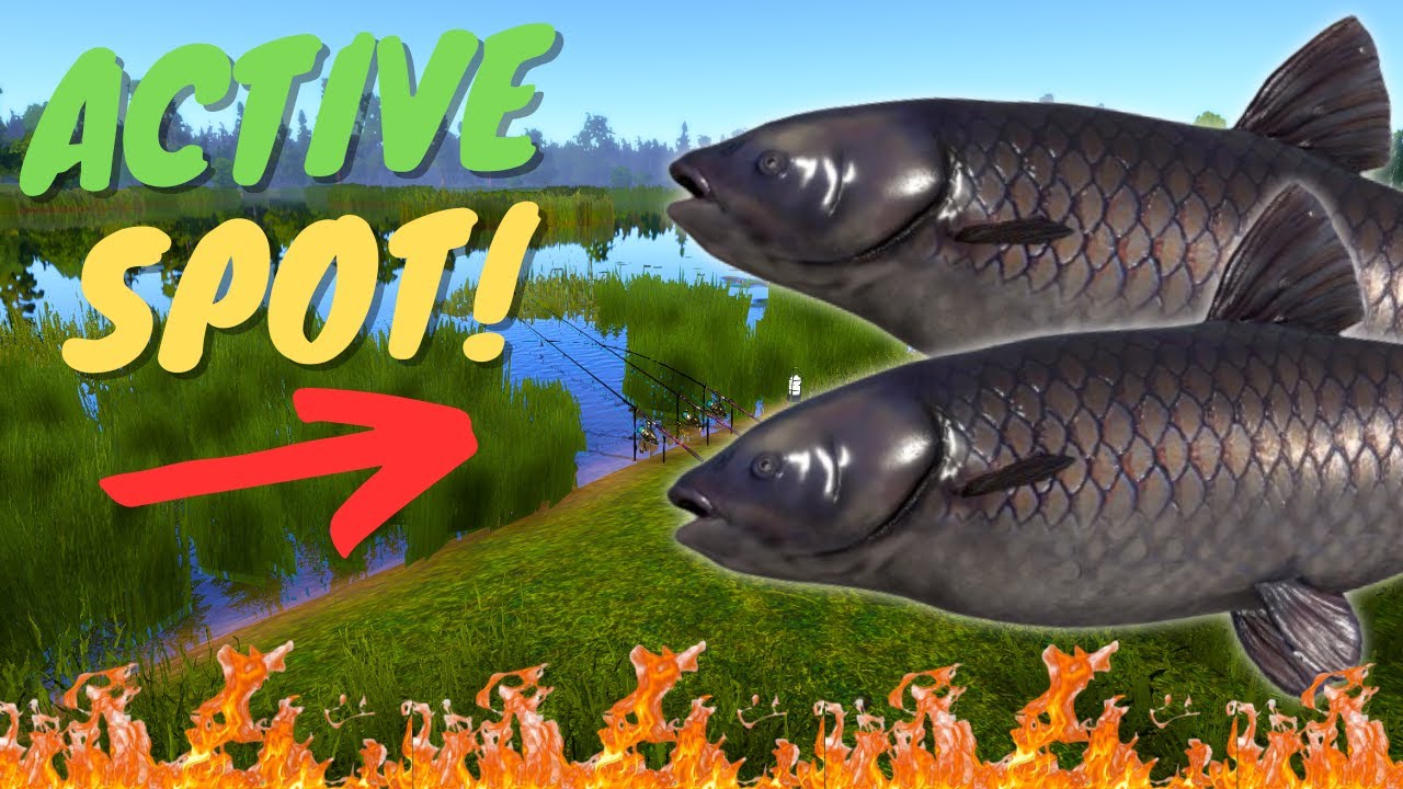 ACTIVE BLACK CARP SPOT IN BEAR LAKE! #970 Russian fishing 4