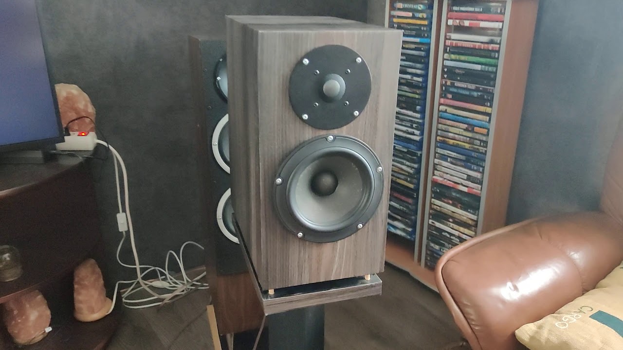 Diy speaker sound demo peerless