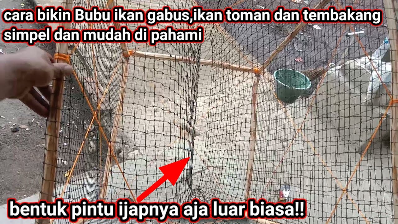 Cara Membuat Bubu Ikan Gabus Ikan Toman Dan Segala jenis Ikan 🐟🐟
