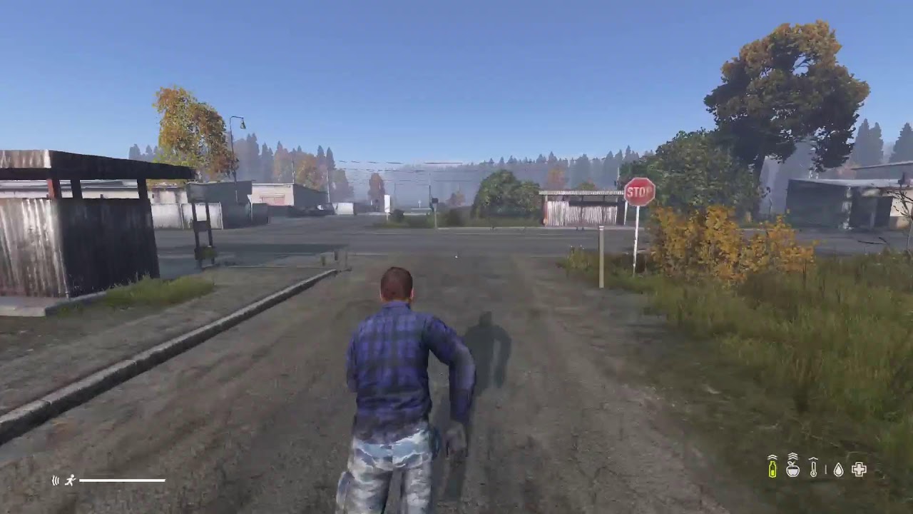 Dayz PS5 Português