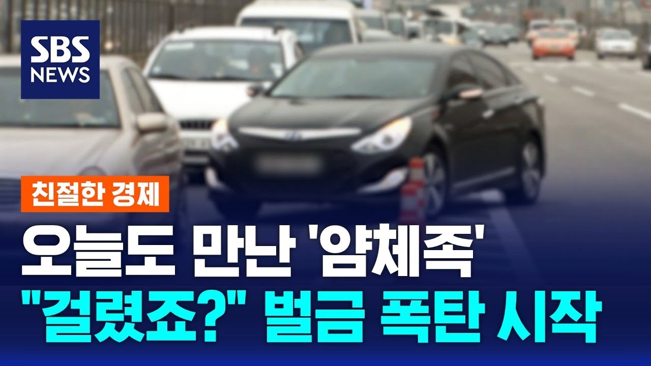 오늘도 만난 '얌체족'…