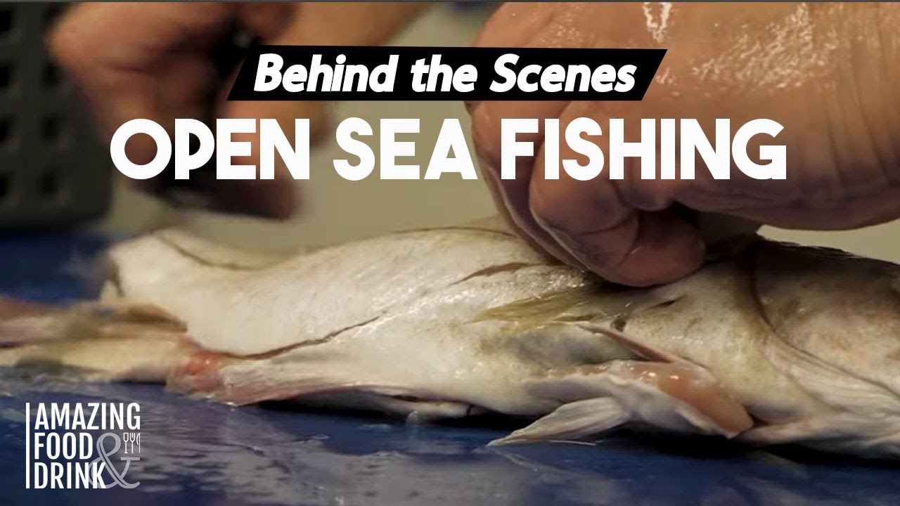 Sea Source | Seafood | Open Sea Fishing | Ingredients Sourced | Prawns, Crabs & Battered Fish
