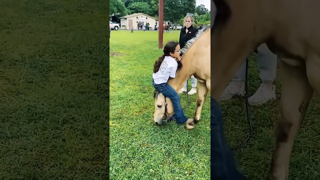 Friendship that needs no language 🥰🥹 #foryou #funny  #cuteanimal #pets #animals #fyp #cute #horse