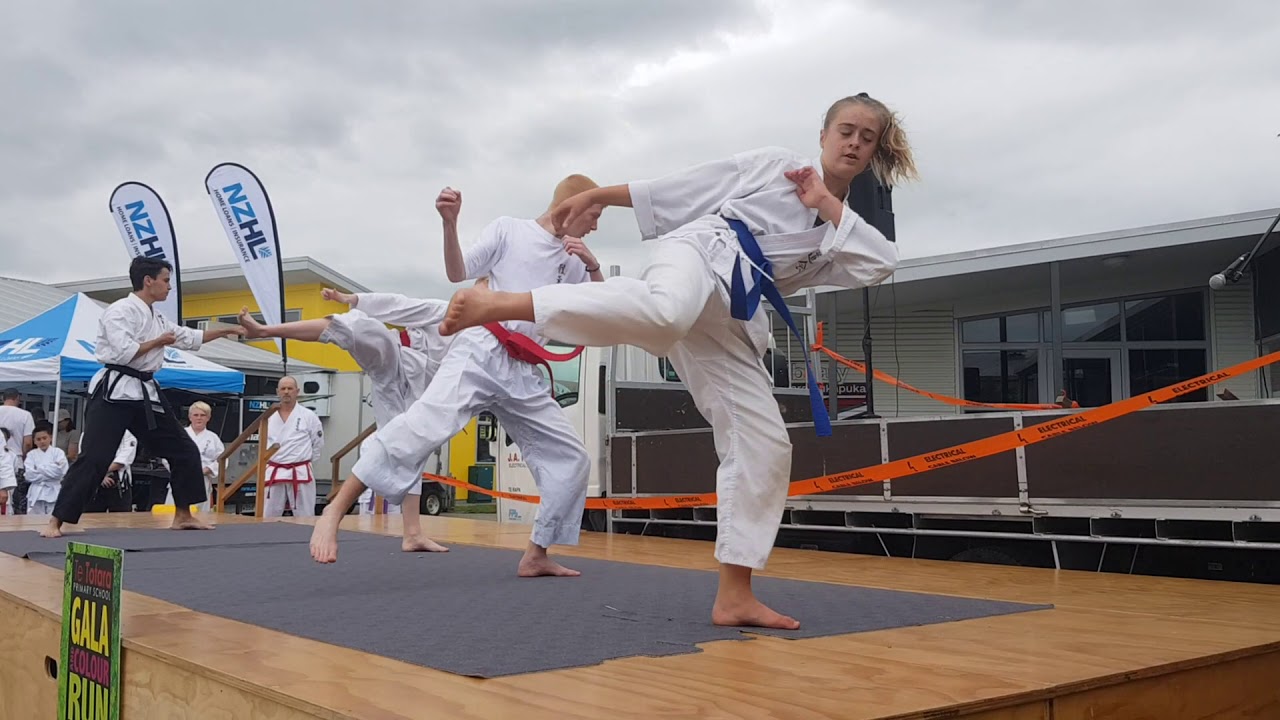 Taikidokai Martial Arts Hamilton