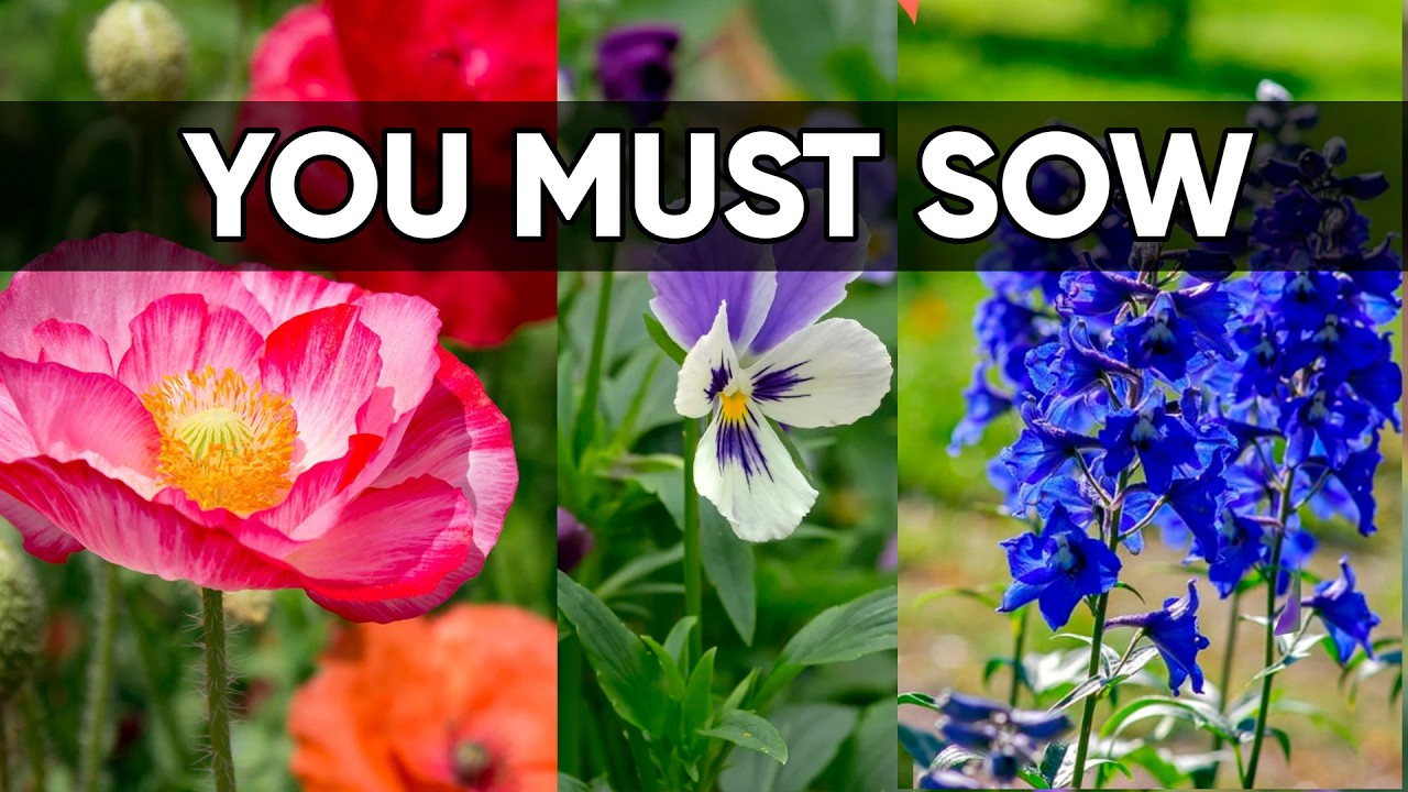 Plant These 9 Seeds for a Head Start Next Season! 🌱