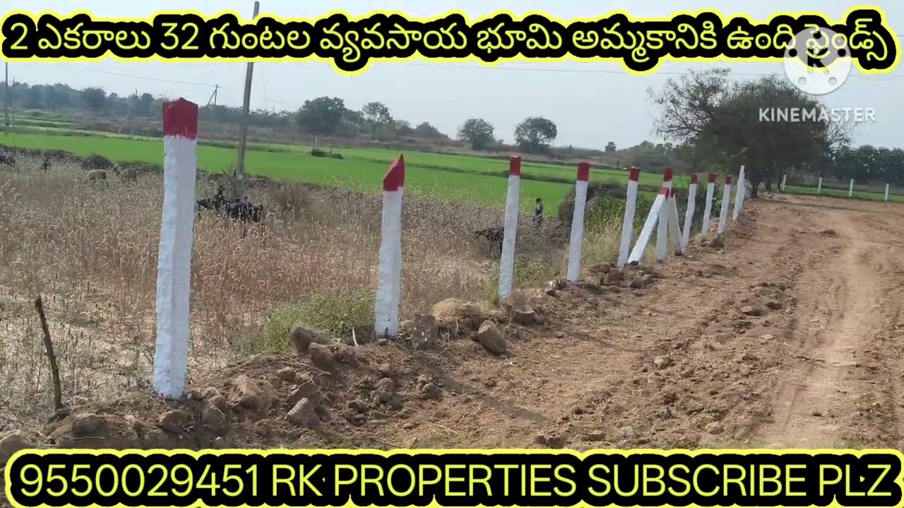 2 ఎకరాల32 గుంటల వ్యవసాయభూమి ప్యూర్ రెడ్ సాయిల్ రైతు దగ్గరనుండిఅమ్మకానికి ఉంది 9550029451జనగామజిల్లా 