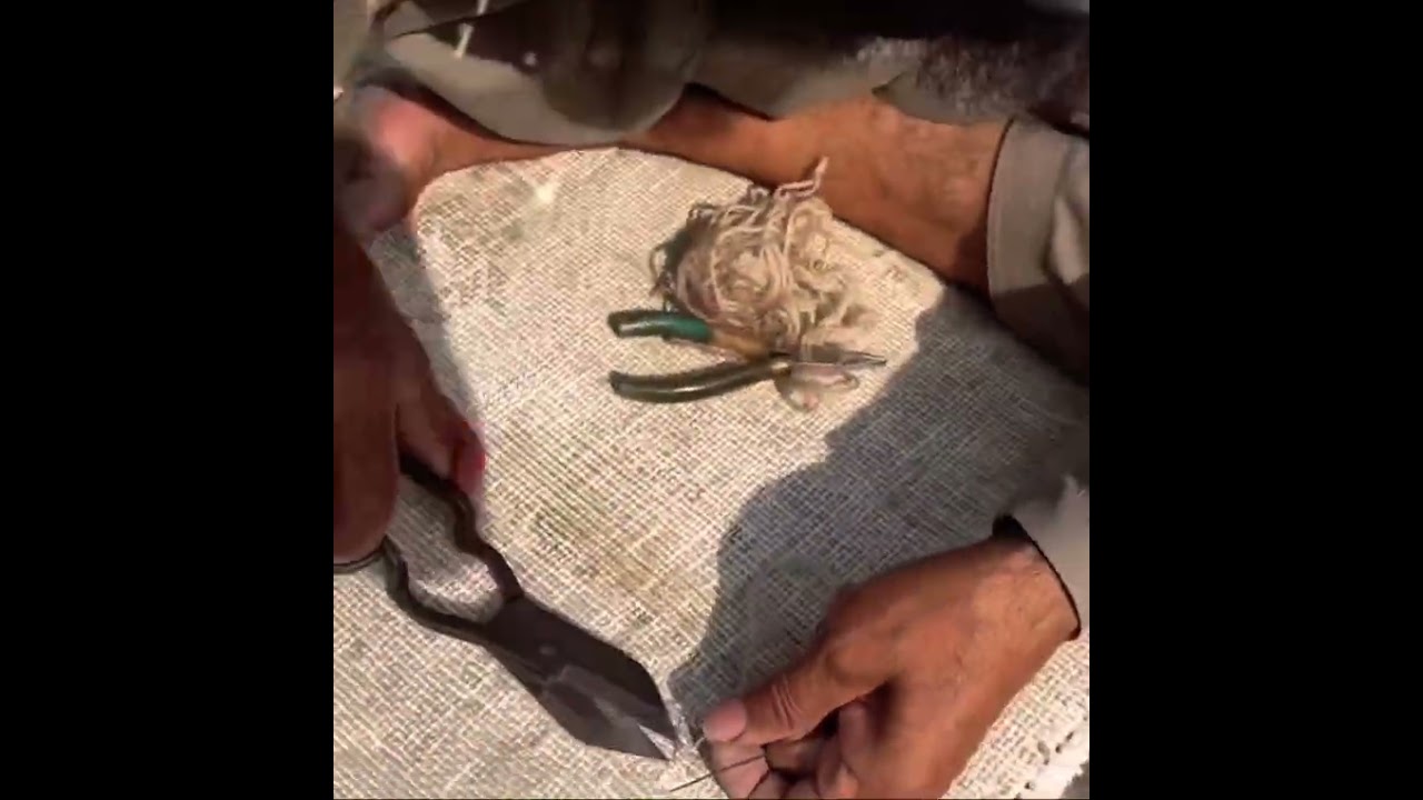 Hand knotted carpet repair
