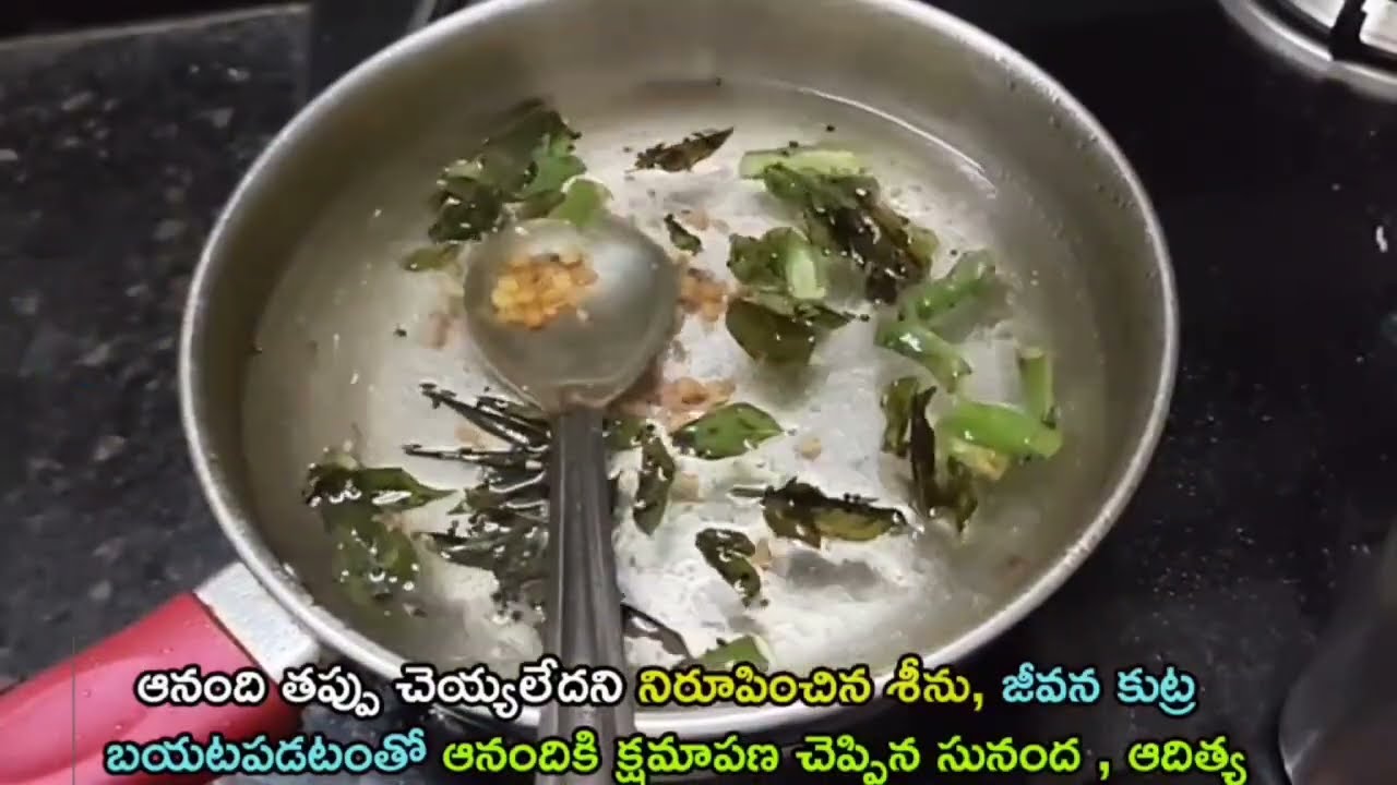 Pape maa jeevana jyothi serial today episode review/జీవన కుట్ర బయటపడటంతోఆనందికి క్షమాపణచెప్పిన సునంద